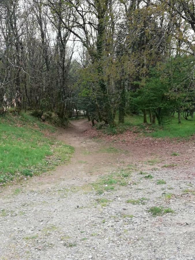 Apartamento Sigueeiro Camino Ingles Sigueiro Exteriör bild