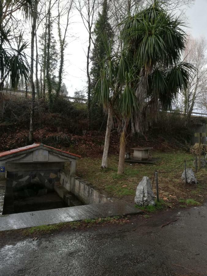 Apartamento Sigueeiro Camino Ingles Sigueiro Exteriör bild
