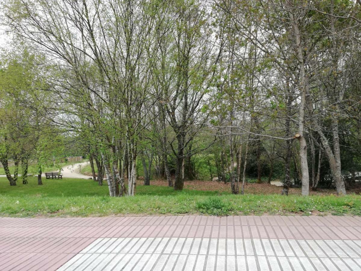 Apartamento Sigueeiro Camino Ingles Sigueiro Exteriör bild